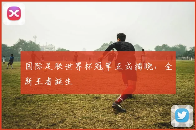 国际足联世界杯冠军正式揭晓,全新王者诞生