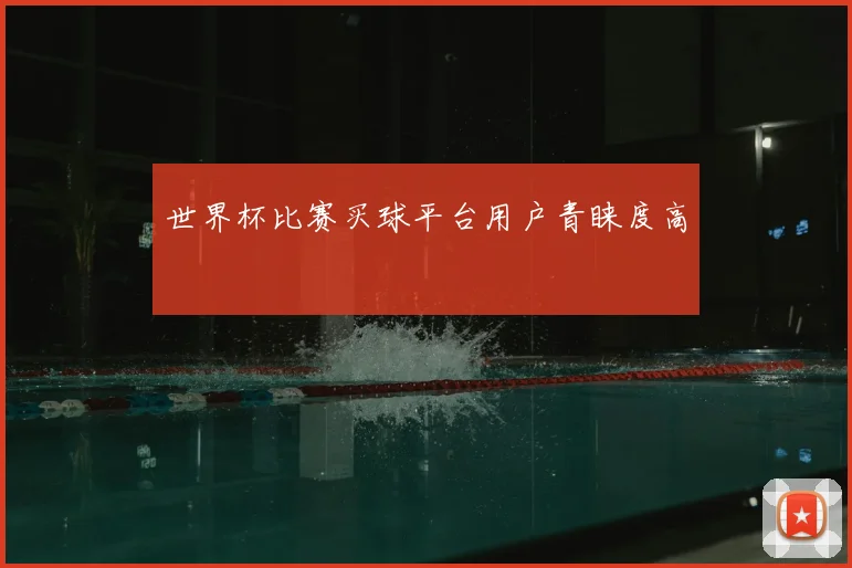 世界杯比赛买球平台用户青睐度高